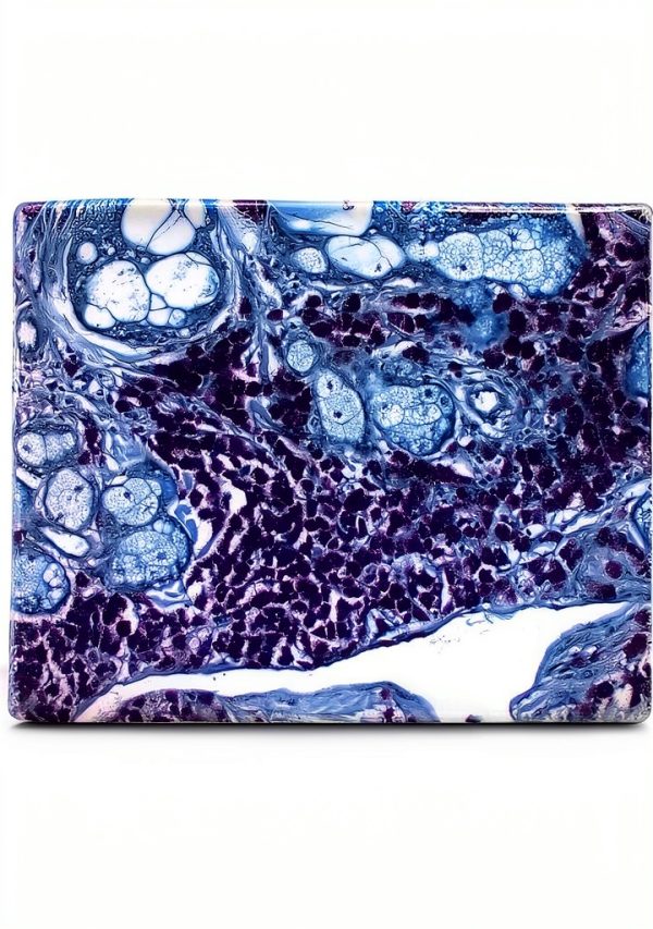 Tyr Scientific Life Science Dyes Fluorophores Stains Lab Use-2