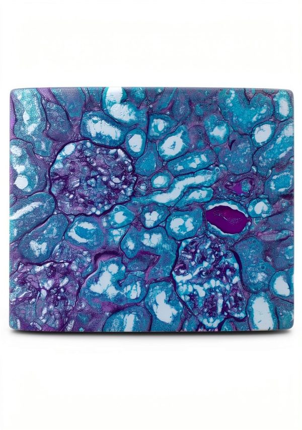 Tyr Scientific Life Science Dyes Fluorophores Stains-4