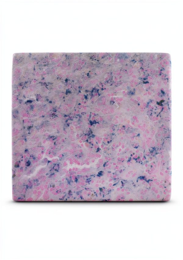 Tyr Scientific Life Science Dyes Fluorophores Stains-4