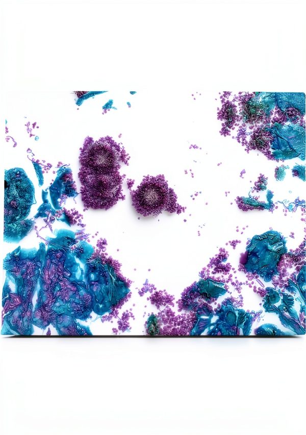 Tyr Scientific Life Science Dyes Fluorophores Stains-5