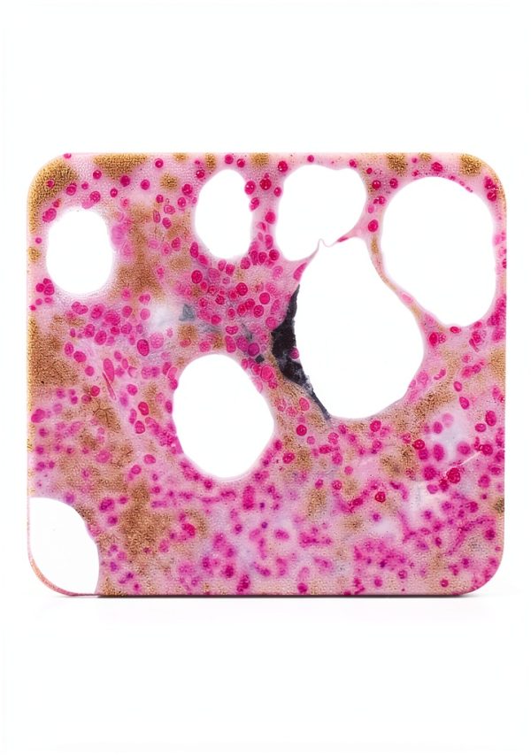Tyr Scientific Life Science Dyes Fluorophores Stains-2