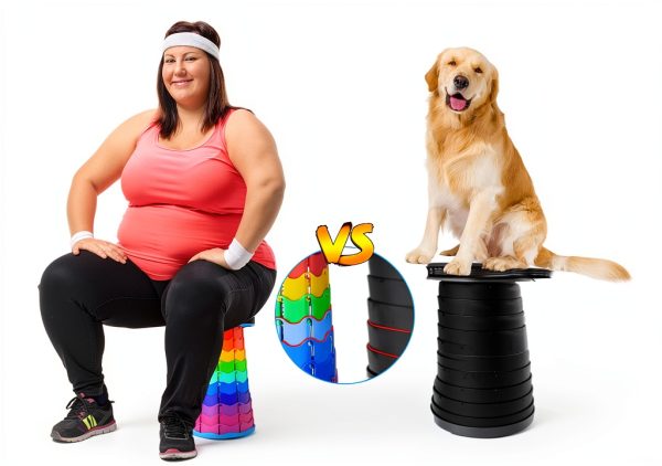 Foldable Stool Doseno Collapsible Camping Seat Rainbow 9.7x17.5-3